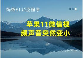 苹果11微信视频声音突然变小