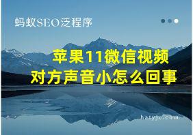 苹果11微信视频对方声音小怎么回事