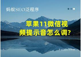 苹果11微信视频提示音怎么调?