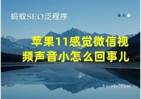 苹果11感觉微信视频声音小怎么回事儿