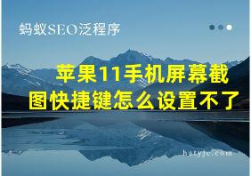 苹果11手机屏幕截图快捷键怎么设置不了