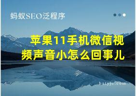 苹果11手机微信视频声音小怎么回事儿