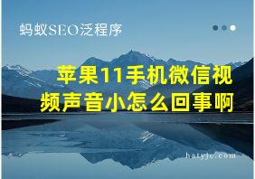 苹果11手机微信视频声音小怎么回事啊