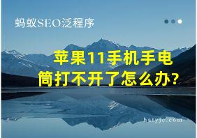 苹果11手机手电筒打不开了怎么办?
