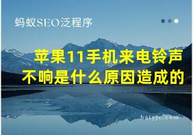 苹果11手机来电铃声不响是什么原因造成的