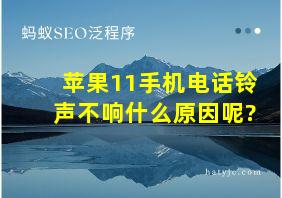 苹果11手机电话铃声不响什么原因呢?