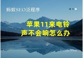 苹果11来电铃声不会响怎么办