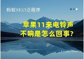 苹果11来电铃声不响是怎么回事?