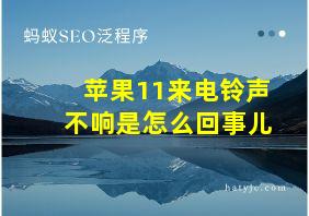 苹果11来电铃声不响是怎么回事儿