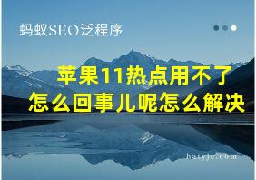 苹果11热点用不了怎么回事儿呢怎么解决