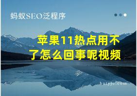 苹果11热点用不了怎么回事呢视频