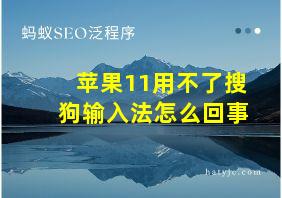 苹果11用不了搜狗输入法怎么回事