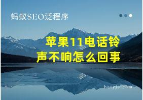 苹果11电话铃声不响怎么回事