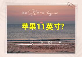 苹果11英寸?