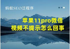 苹果11pro微信视频不提示怎么回事