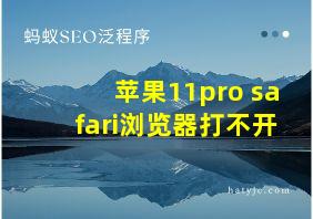 苹果11pro safari浏览器打不开