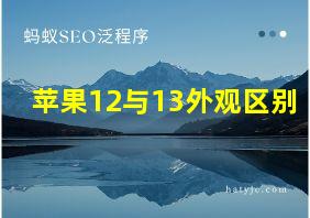 苹果12与13外观区别