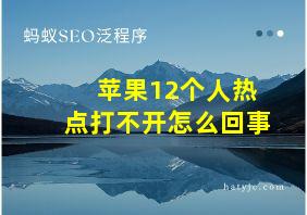 苹果12个人热点打不开怎么回事