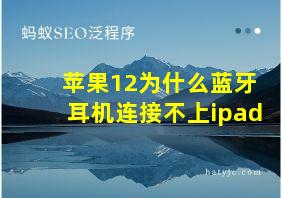 苹果12为什么蓝牙耳机连接不上ipad