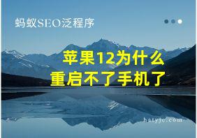 苹果12为什么重启不了手机了