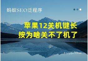 苹果12关机键长按为啥关不了机了