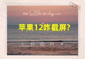 苹果12咋截屏?