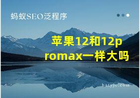 苹果12和12promax一样大吗