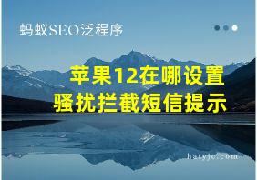 苹果12在哪设置骚扰拦截短信提示