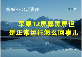 苹果12屏幕黑屏但是正常运行怎么回事儿