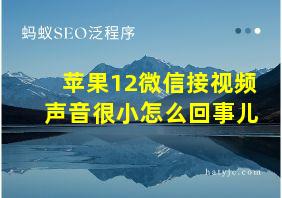 苹果12微信接视频声音很小怎么回事儿