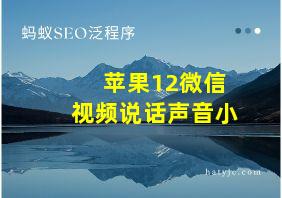 苹果12微信视频说话声音小