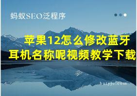 苹果12怎么修改蓝牙耳机名称呢视频教学下载