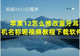 苹果12怎么修改蓝牙耳机名称呢视频教程下载软件