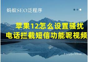 苹果12怎么设置骚扰电话拦截短信功能呢视频