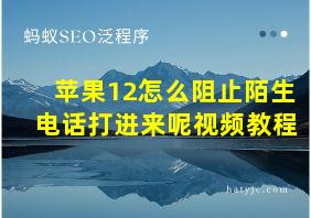 苹果12怎么阻止陌生电话打进来呢视频教程