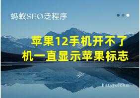 苹果12手机开不了机一直显示苹果标志