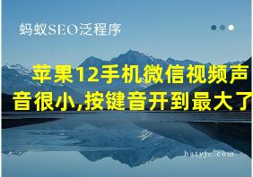 苹果12手机微信视频声音很小,按键音开到最大了