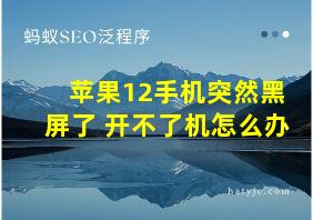 苹果12手机突然黑屏了 开不了机怎么办