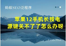 苹果12手机长按电源键关不了了怎么办呀