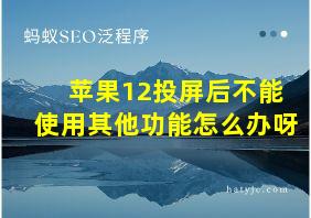 苹果12投屏后不能使用其他功能怎么办呀