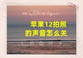 苹果12拍照的声音怎么关