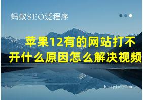 苹果12有的网站打不开什么原因怎么解决视频