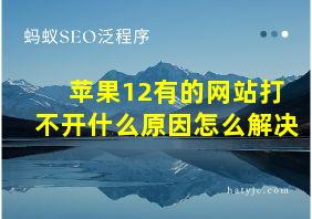 苹果12有的网站打不开什么原因怎么解决