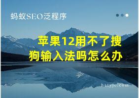 苹果12用不了搜狗输入法吗怎么办