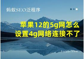 苹果12的5g网怎么设置4g网络连接不了