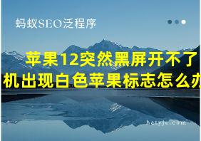 苹果12突然黑屏开不了机出现白色苹果标志怎么办