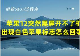 苹果12突然黑屏开不了机出现白色苹果标志怎么回事