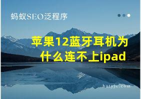 苹果12蓝牙耳机为什么连不上ipad