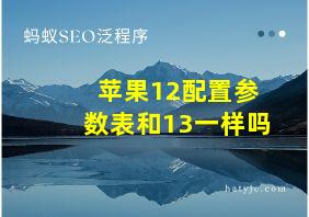 苹果12配置参数表和13一样吗