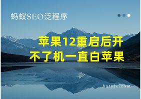 苹果12重启后开不了机一直白苹果